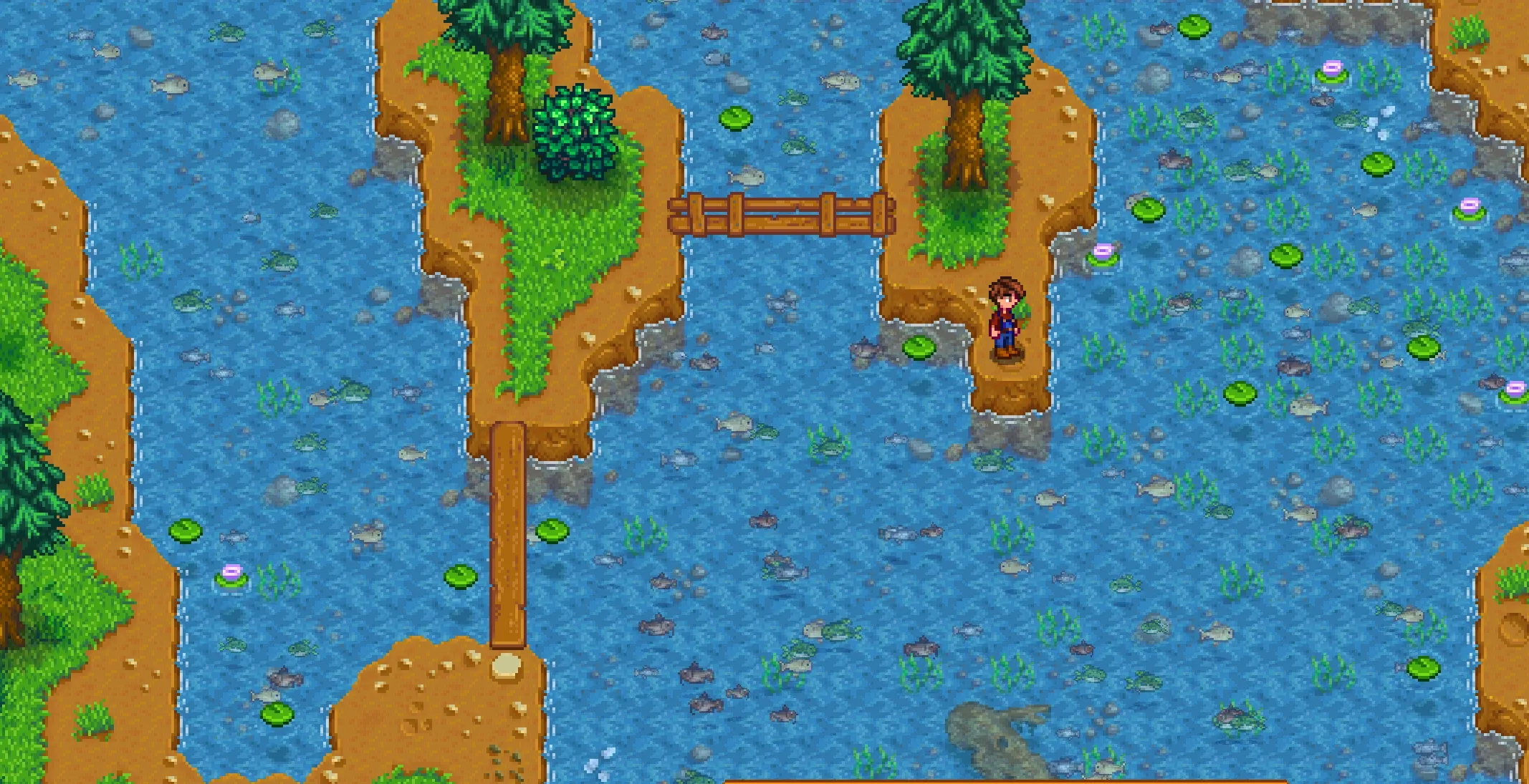 Visible Fish